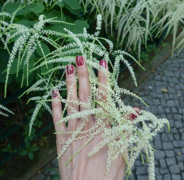 5 Unsexy Truths That’ll Actually Make Your Life Better