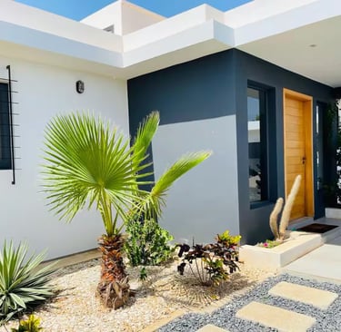 a house with a palm tree in the foreground