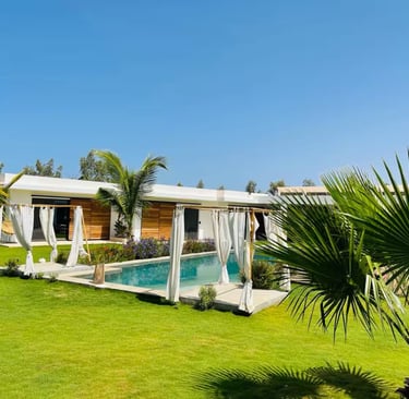 a house with a pool and a palm tree