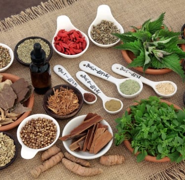 exemple de plantes phytothérapie en MTC 