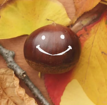 Paradoxul fericirii - echilibru emoțional și fericire autentică