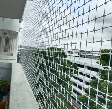 Birds Net keeps your home, balcony, garden, or office safe from birds and pigeons