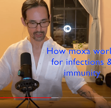 CLICK HERE TO WATCH ON YOUTUBE: How Moxa works for infections & immunity