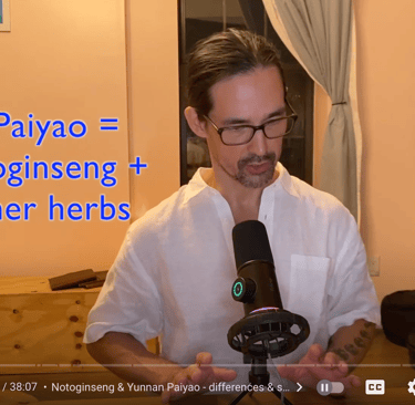 CLICK HERE TO WATCH ON YOUTUBE:  How Yunnan Paiyao / Notoginseng works on infections