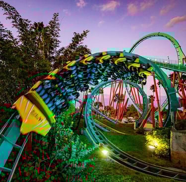 florida, tampa bush garden, roller coasters