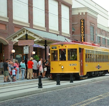tampa bay streat photo with a tram