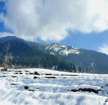 kashmir snow fall