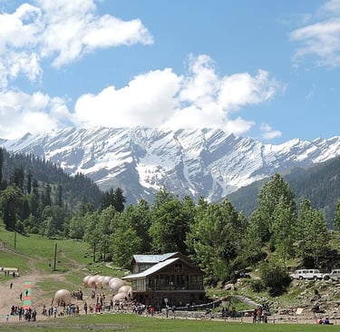 Mountain vie manali
