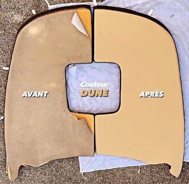 sellerie coussin couleur dune