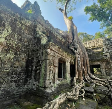 Świątynia Ta Prohm w Kambodży