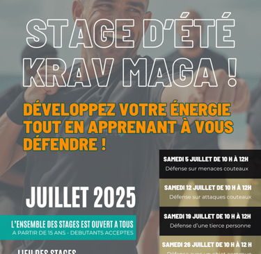 Stage de krav maga d'été 2025