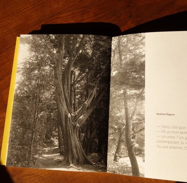 livre episolaris ouvert texte azelma sigaux