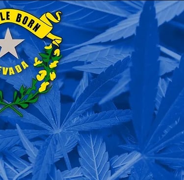a marijuana leaf with a star on it