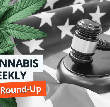 Cannabis Legislative Updates