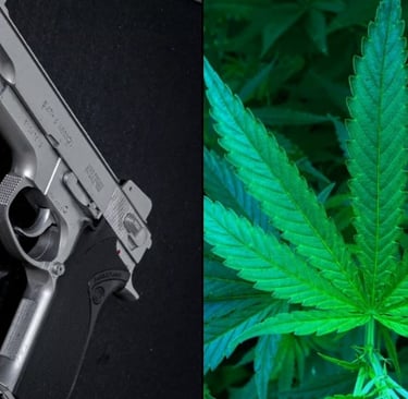 Gun Ban for Marijuana Users