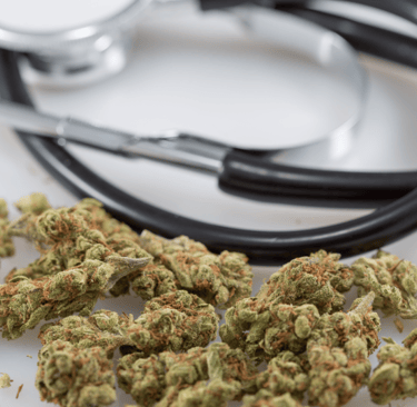 a stethoscoped  medical marijuana buds