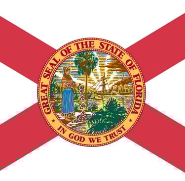 the state of florida flag