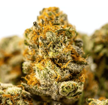 a close up of a marijuana