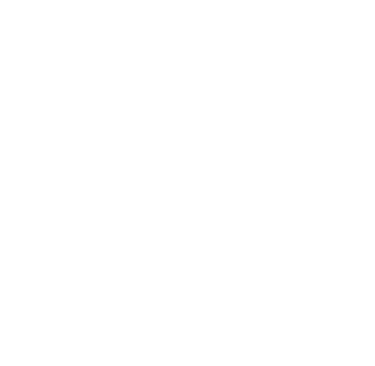 Decorative minimalist white arrow icon, used as a list marker