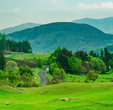 Paysage verdoyant des Cairngorms en Écosse, avec route sinueuse, collines et forêts sous un ciel brumeux.