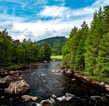 Rivière bordée de forêts verdoyantes dans les Highlands écossais, avec des montagnes en arrière-plan sous un ciel bleu.