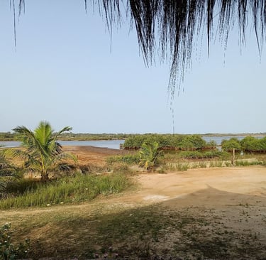 A serene view of Tanema Creek Lodge in Brufut, featuring charming thatched-roof cabins nestled along