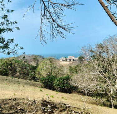 Vue Panoramique de Rio Cedro, monitos, Cordoba