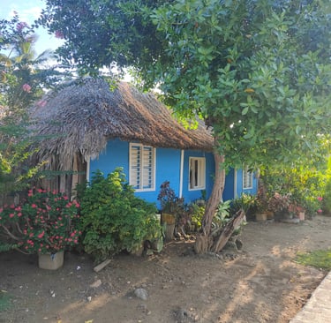 Maison authentique bleue Rio Cedro