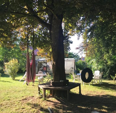 Alter, großer Baum mit Spielutensilien für Groß und Klein