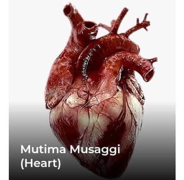 mutima-musagi