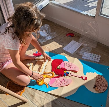 curiosité, enfants, intelligence corporel