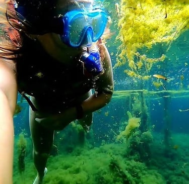 Visitemambai.com.br - Lagoa e Fervedouro do Léo