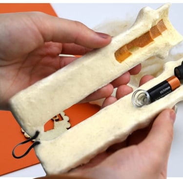 sustainable electronics made of biodegradable wool-based biomaterial