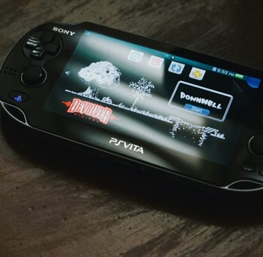 handheld electronics