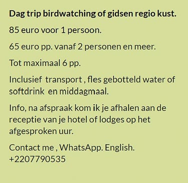 Flyer hele dag vogelkijk- of kusttour in Gambia. Prijs €85 voor 1 persoon of €65 p.p. vanaf 2 person