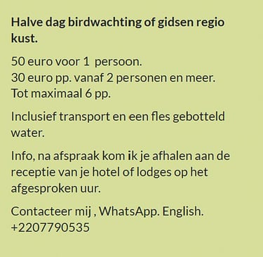 Flyer halve dag vogelkijk- of kusttour in Gambia. Prijs €50 voor 1 persoon of €30 p.p. vanaf 2 perso