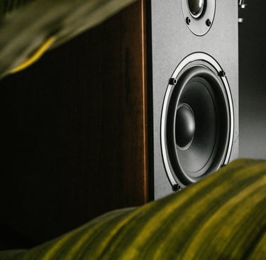 Premium wooden speaker with blurred leaves