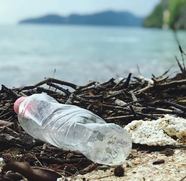 Plastic bottle in trash near sea