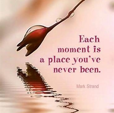 each moment by mark sand