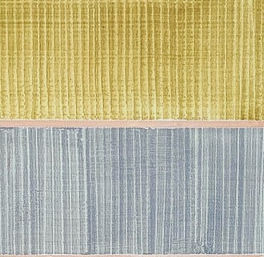 RESTREGADOS FRACCIÒN/3