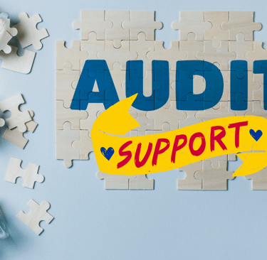 Statutory Audit, Internal Audit, Tax Audit, Audit Support