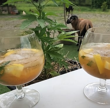 Cockatil CBD avec de l'armagnac