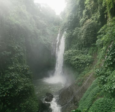 Waterfall surround my lush green jungle