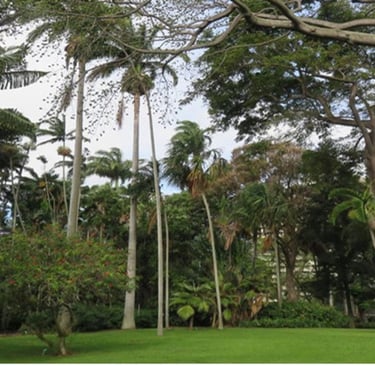 Foster Botanical Garden