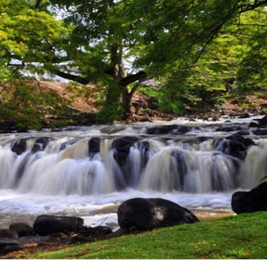 Liliuokalani Botanical Garden Waterfall