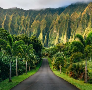 Hoomaluhia Botanical Garden Oahu Hawaii
