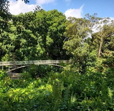 wahiawa botanical garden bridge