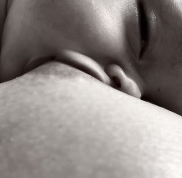 "Explorando el Lenguaje Visual: Un Viaje a Través de la Abstracción y el Conceptualismo en el Arte"