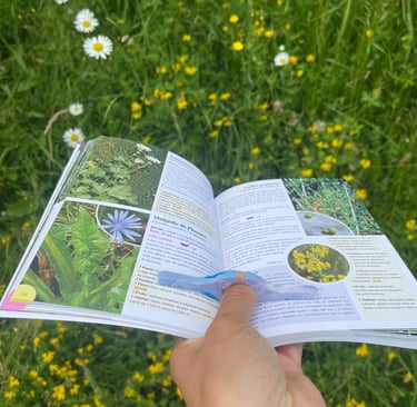 Bague de livre, aide à mieux lire, plastnat 