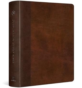 a brown leather book with a brown leather cover journaling bible